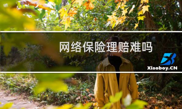 网络保险理赔难吗