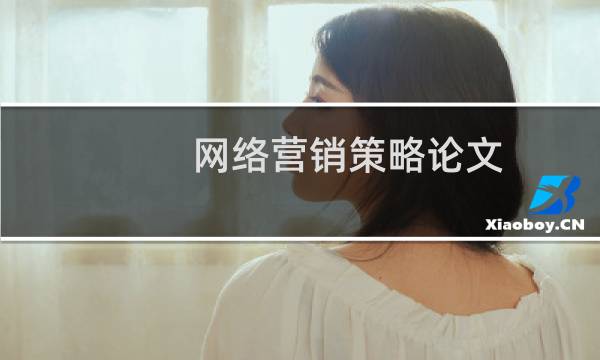网络营销策略论文