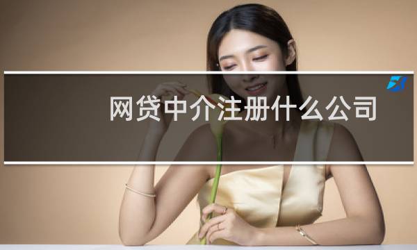 网贷中介注册什么公司
