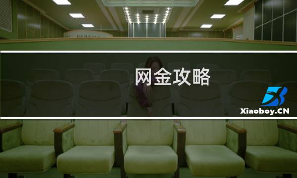 网金攻略