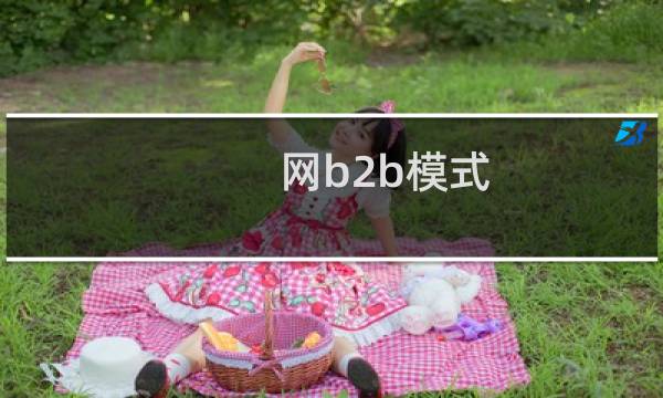 网b2b模式