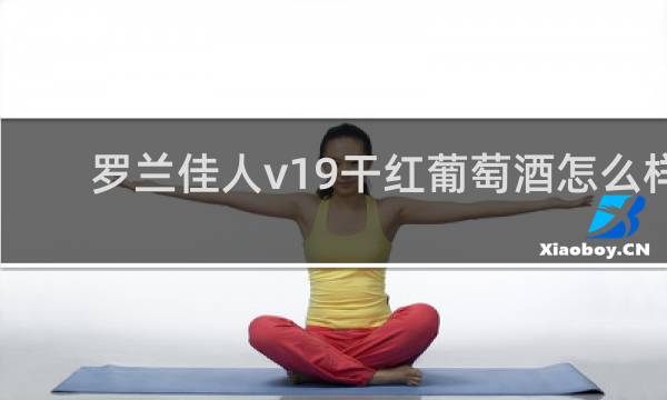 罗兰佳人v19干红葡萄酒怎么样