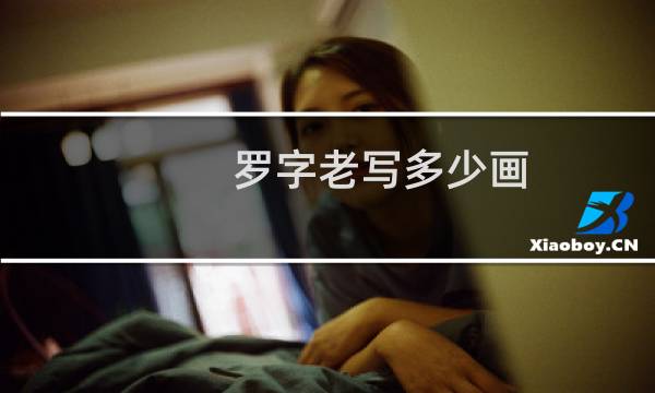 罗字老写多少画