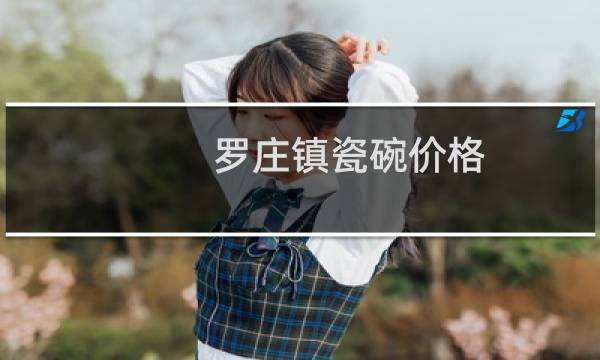 罗庄镇瓷碗价格