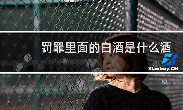 罚罪里面的白酒是什么酒