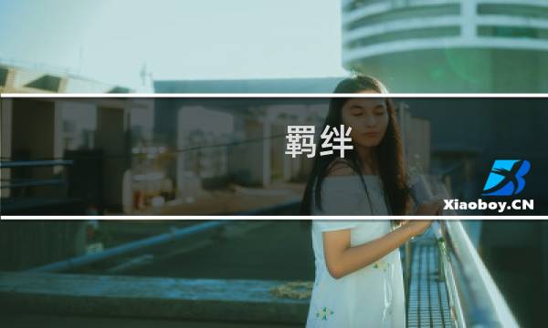 羁绊 佩恩攻略