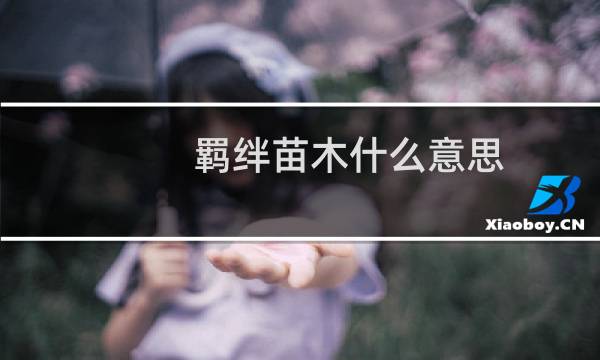 羁绊苗木什么意思