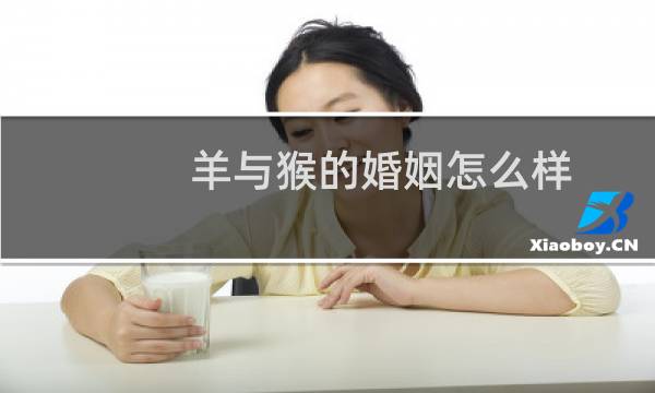 羊与猴的婚姻怎么样