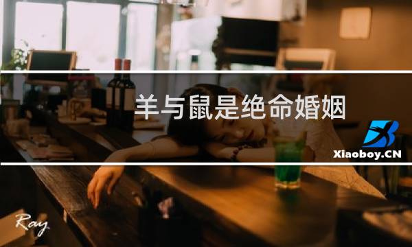 羊与鼠是绝命婚姻