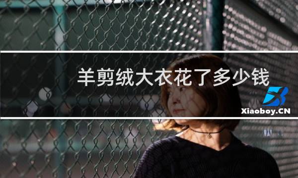 羊剪绒大衣花了多少钱