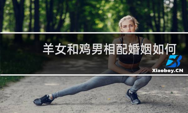 羊女和鸡男相配婚姻如何