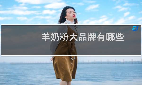 羊奶粉大品牌有哪些