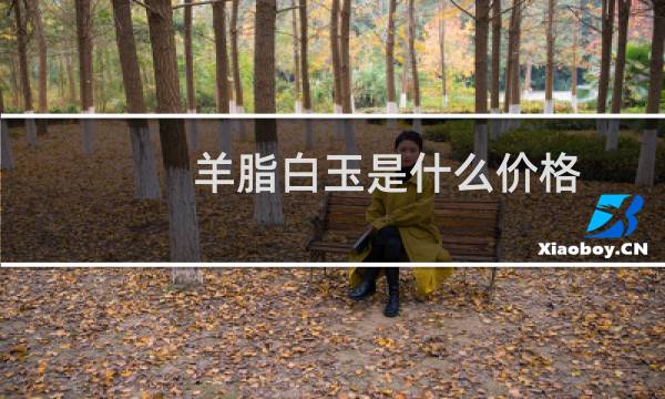 羊脂白玉是什么价格