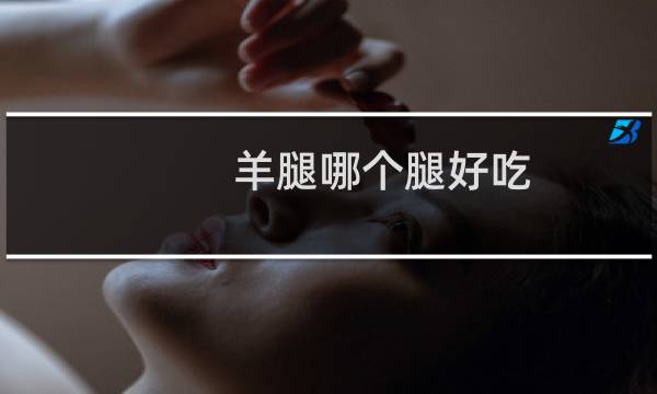 羊腿哪个腿好吃
