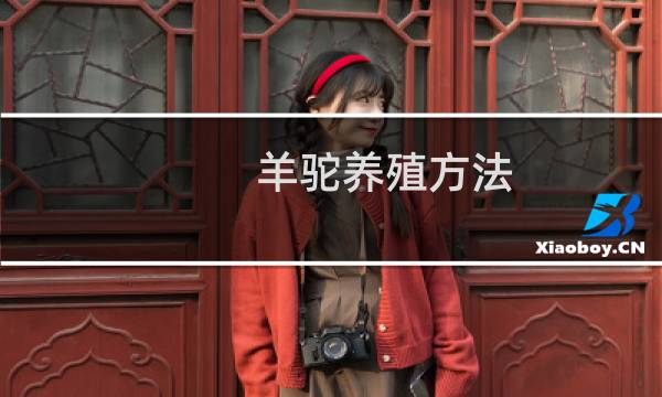 羊驼养殖方法