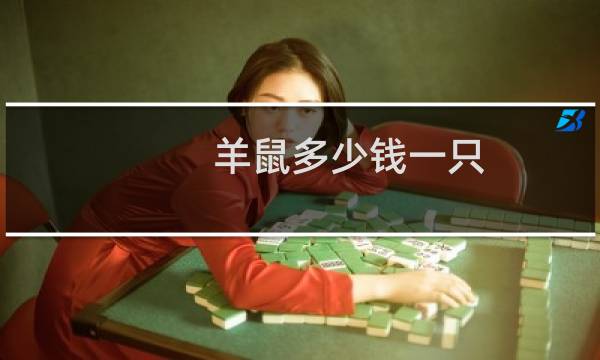 羊鼠多少钱一只