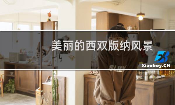 美麗的西雙版納風(fēng)景