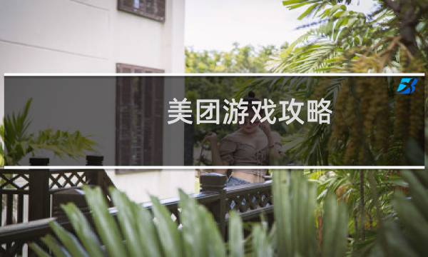 美团游戏攻略