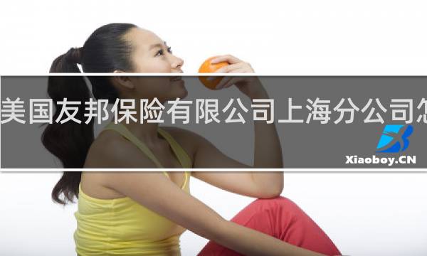美国友邦保险有限公司上海分公司怎么样