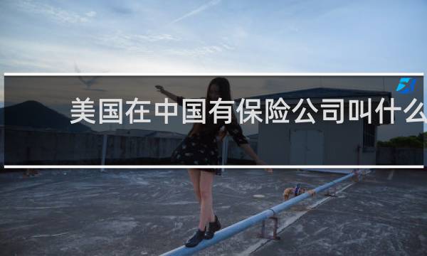 美国在中国有保险公司叫什么