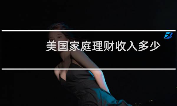 美国家庭理财收入多少