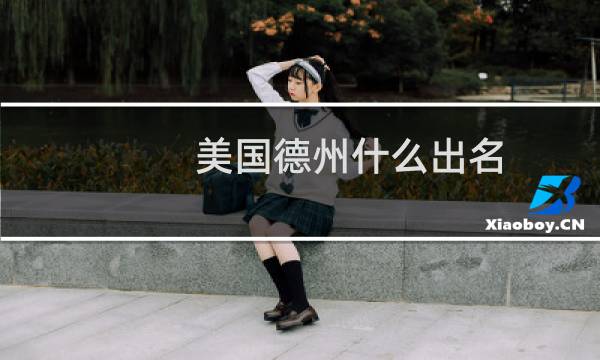 美国德州什么出名