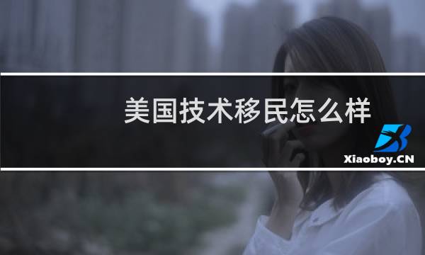 美国技术移民怎么样
