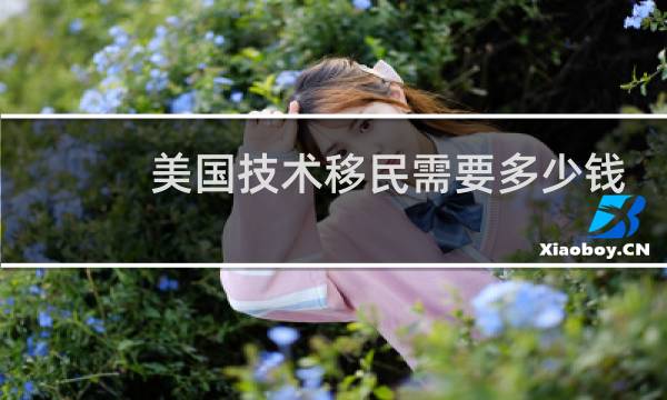 美国技术移民需要多少钱