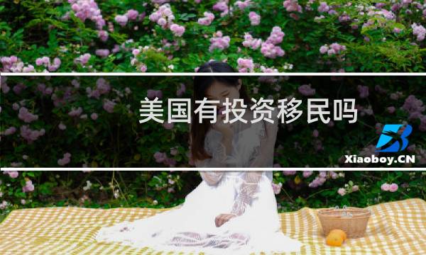 美国有投资移民吗