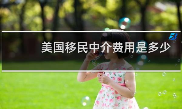 美国移民中介费用是多少