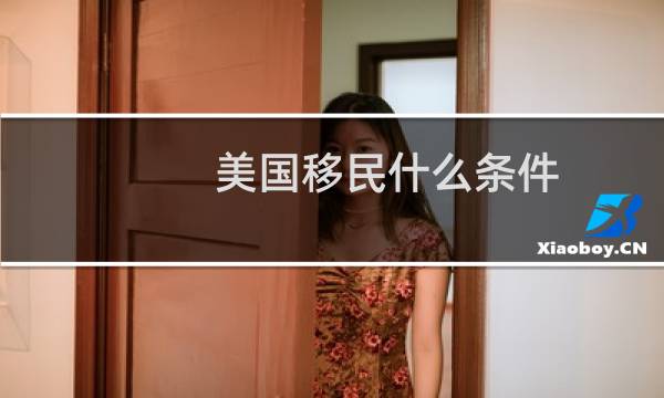 美国移民什么条件