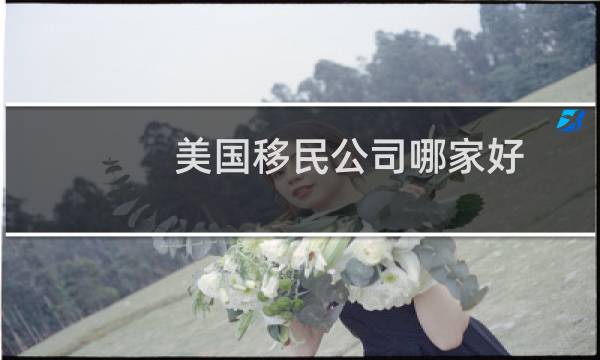 美国移民公司哪家好