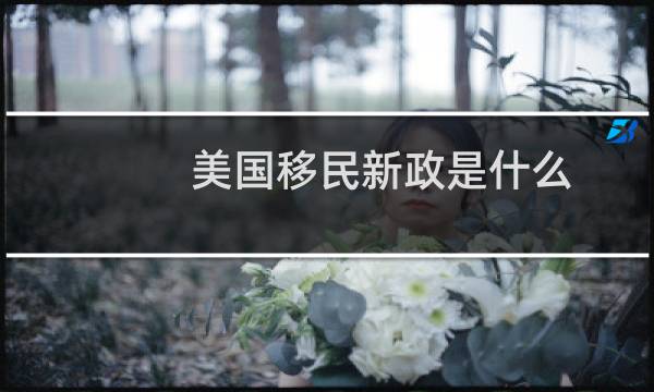 美国移民新政是什么