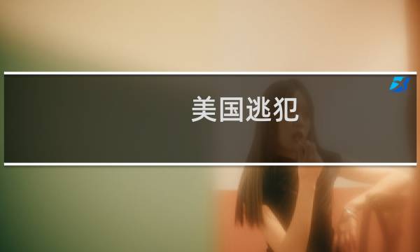 美国逃犯 攻略