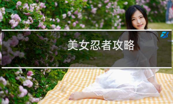 美女忍者攻略