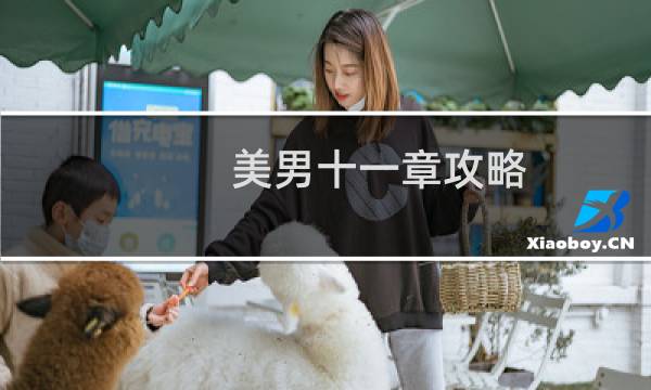 美男十一章攻略