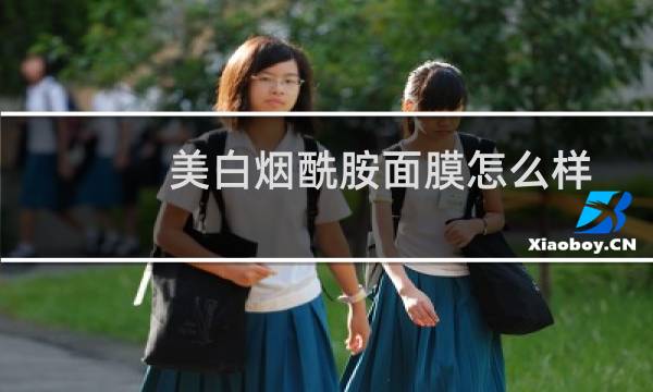美白烟酰胺面膜怎么样
