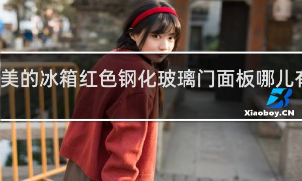 美的冰箱红色钢化玻璃门面板哪儿有卖的?