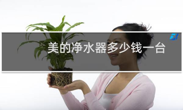 美的净水器多少钱一台