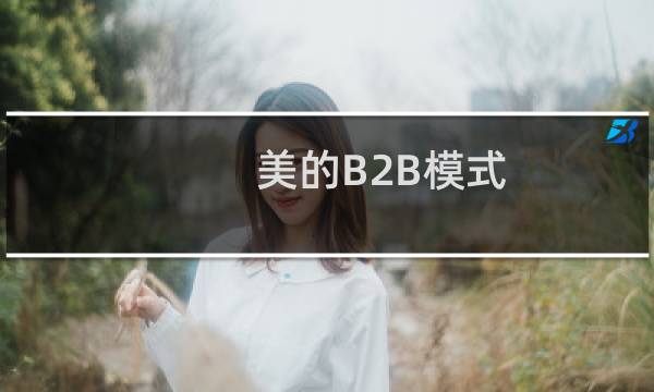 美的B2B模式