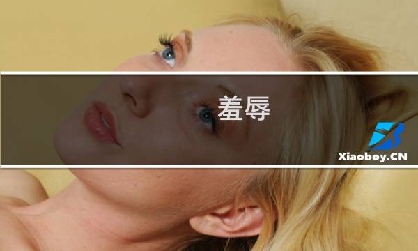 羞辱 完美攻略