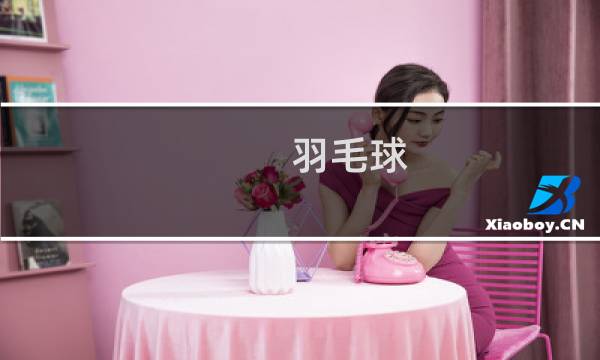 羽毛球 攻略