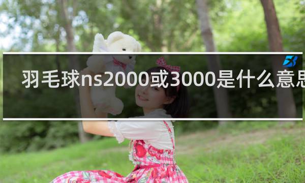 羽毛球ns2000或3000是什么意思呢