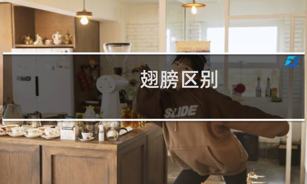 翅膀区别 最终幻想