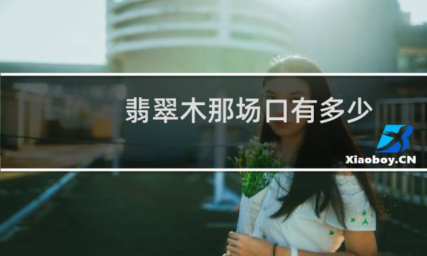 翡翠木那场口有多少