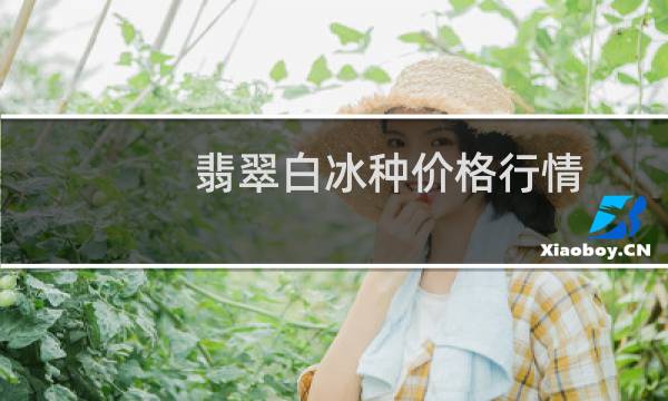 翡翠白冰种价格行情
