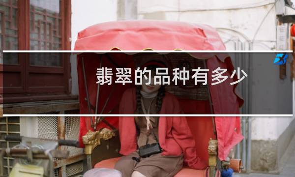 翡翠的品种有多少