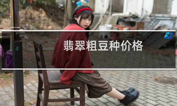 翡翠粗豆种价格