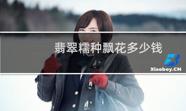 翡翠糯种飘花多少钱