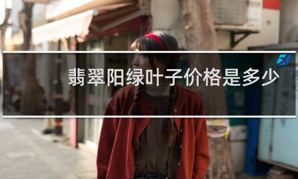 翡翠阳绿叶子价格是多少